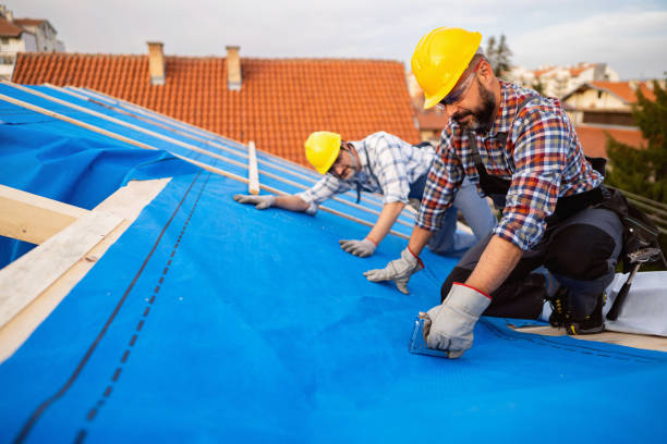 Best Roof Gutter Cleaning  in Foster Brook, PA